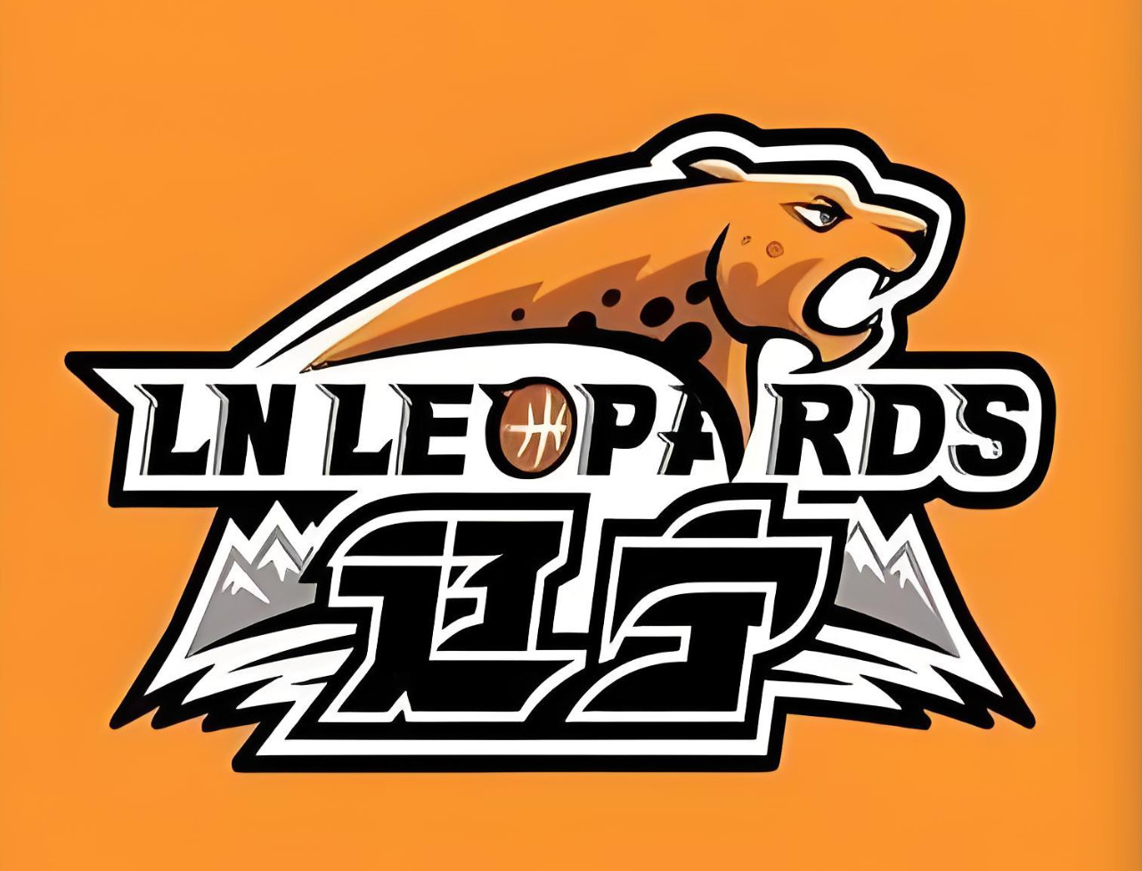 开云体育APP下载-辽宁队管理层：球队没有出售的计划，目前正在寻求新的赞助商